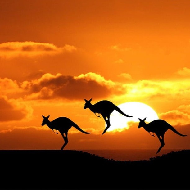 Australia is famous for its outdoor lifestyle, friendly locals, and strong economy, making it a popular destination for tourists, students, and immigrants alike.